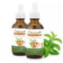 Stevia Select Butterscotch Liquid Stevia 2oz 2-Pack Review